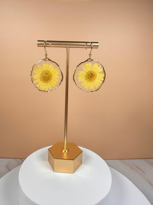 Medium Pressed Flowers